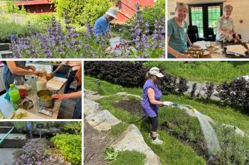 Images from this Tuesday's gardening and kitchen projects of the Herb Associates.