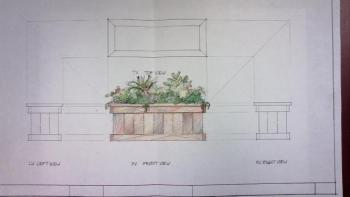 Design of a container of plants