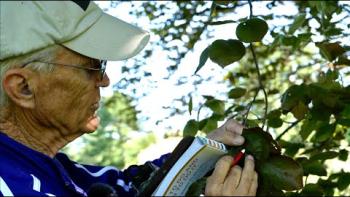 Embedded thumbnail for A Garden Check-up, with Ron Kujawski