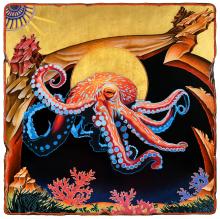 Peter D. Gerakaris' "Octopus Cephalopod" icon